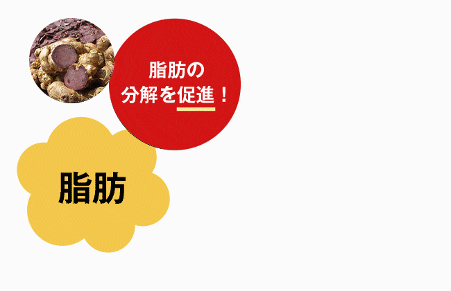 ブラックジンジャーの働き