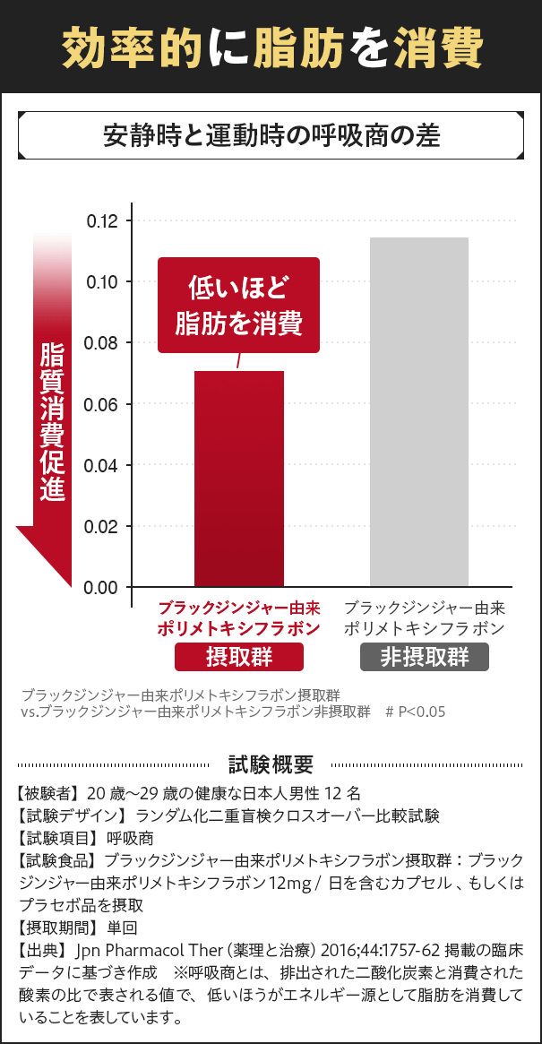 効率的に脂肪を消費