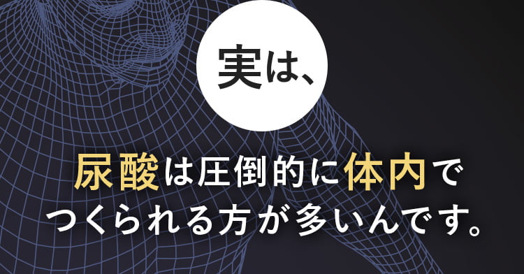尿酸値は体内でつくられる方が多いんです