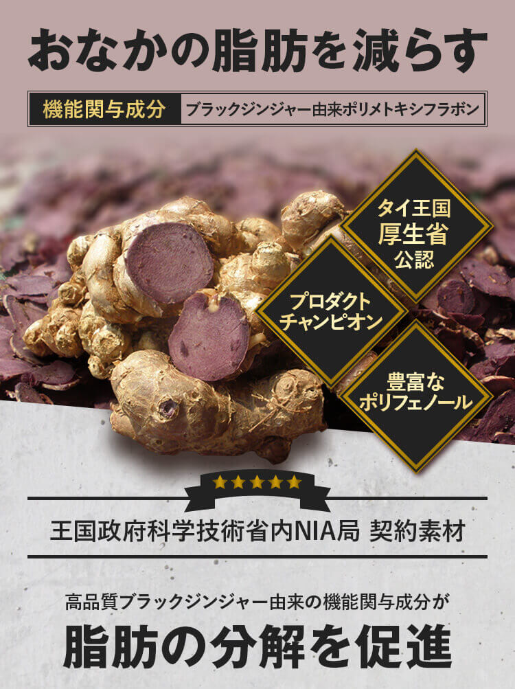 おなかの脂肪を減らす